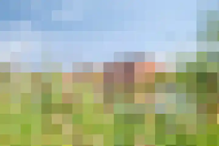 Heliotroop 23 Rhoon thumbnail 40