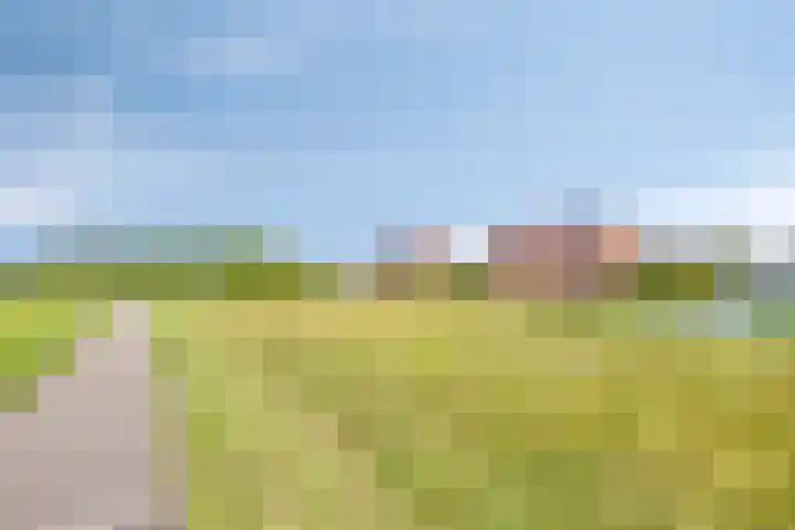 Heliotroop 23 Rhoon thumbnail 41