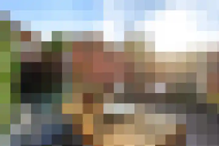 Heliotroop 39 's-Gravenzande thumbnail 15