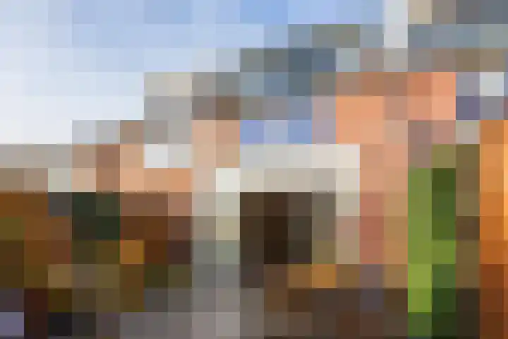 Heliotroop 39 's-Gravenzande thumbnail 16