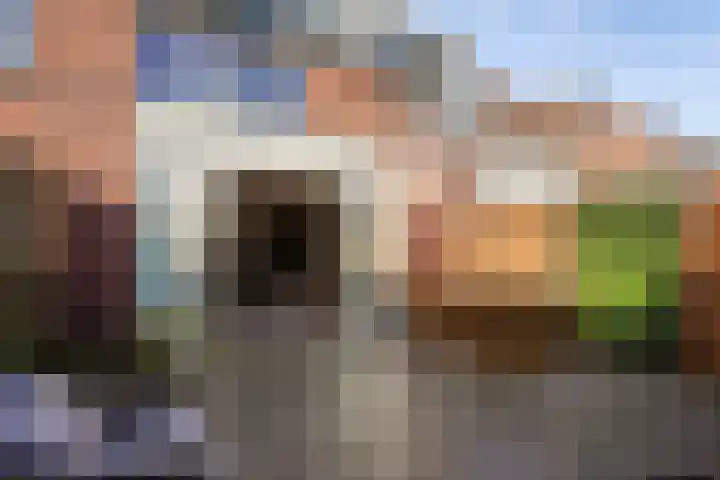 Heliotroop 39 's-Gravenzande thumbnail 17