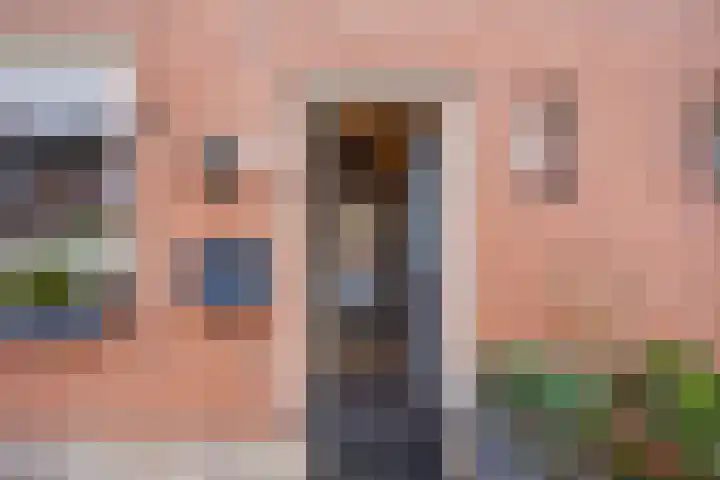 Heliotroop 39 's-Gravenzande thumbnail 19