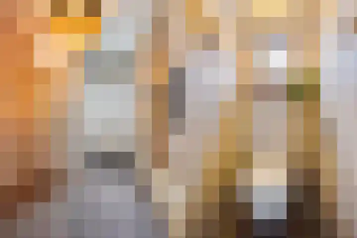 Heliotroop 39 's-Gravenzande thumbnail 20