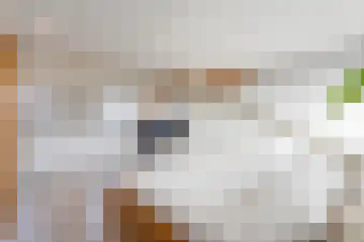 Heliotroop 39 's-Gravenzande thumbnail 36
