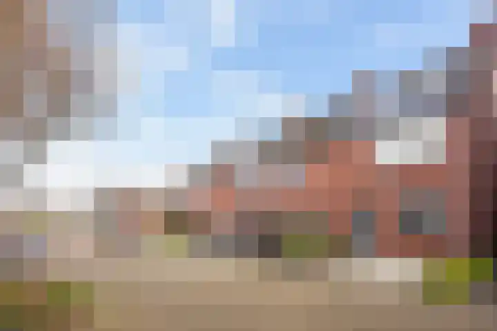 Heliotroop 39 's-Gravenzande thumbnail 39