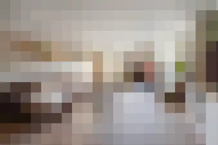 Heliotroop 39 's-Gravenzande thumbnail 4