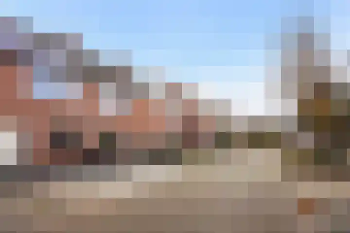Heliotroop 39 's-Gravenzande thumbnail 41