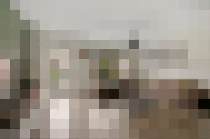 Heliotroop 76 's-Gravenzande thumbnail 13