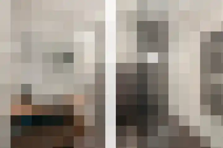 Heliotroop 76 's-Gravenzande thumbnail 17