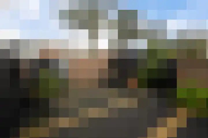 Heliotroop 76 's-Gravenzande thumbnail 25