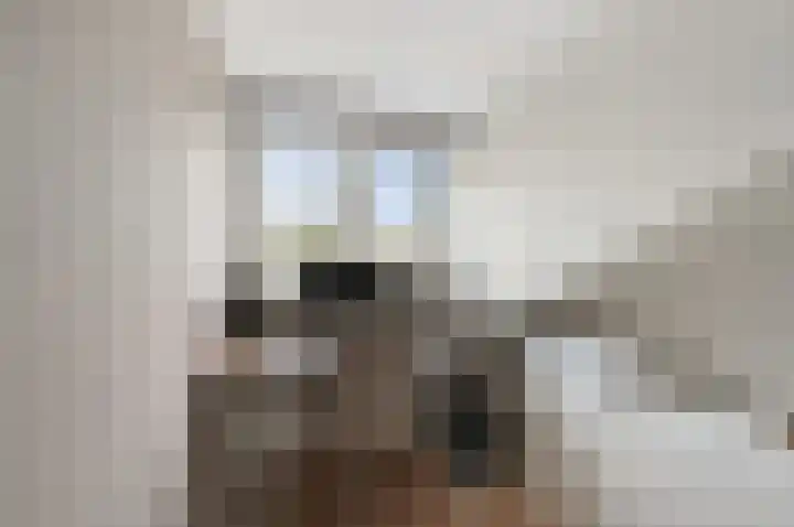 Heliotroop 76 's-Gravenzande thumbnail 35