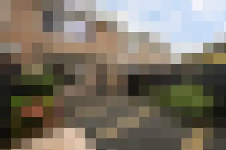 Heliotroop 76 's-Gravenzande thumbnail 38