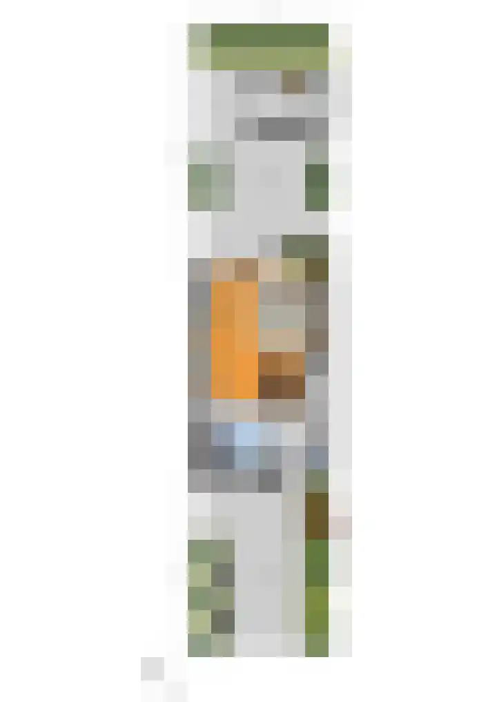Heliotroop 76 's-Gravenzande thumbnail 42