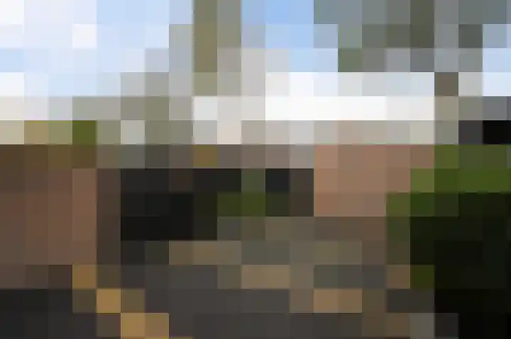 Heliotroop 76 's-Gravenzande thumbnail 6