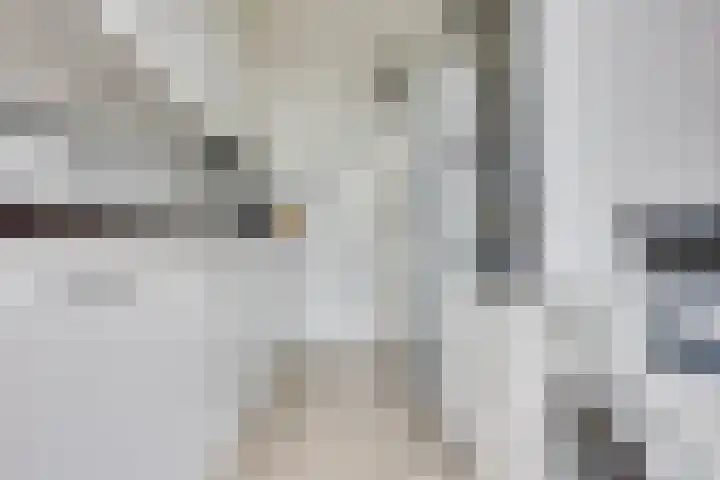 Heliusstraat 2 Rosmalen thumbnail 11
