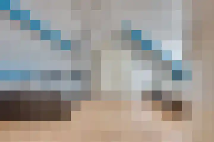 Heliusstraat 2 Rosmalen thumbnail 21