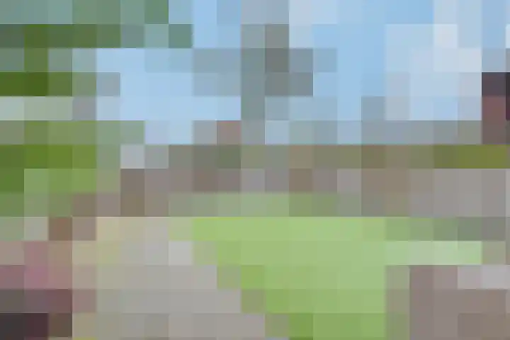 Heliusstraat 2 Rosmalen thumbnail 4