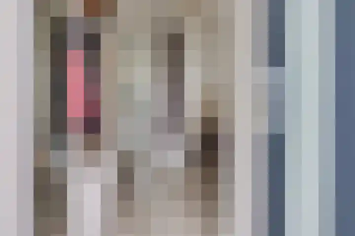 Heliusstraat 2 Rosmalen thumbnail 5