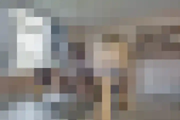 Heliusstraat 2 Rosmalen thumbnail 8