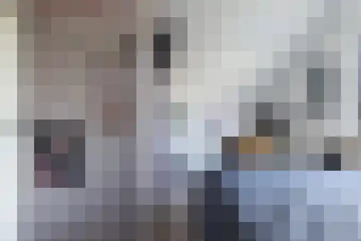 Hellasstrjitte 45 Stiens thumbnail 27