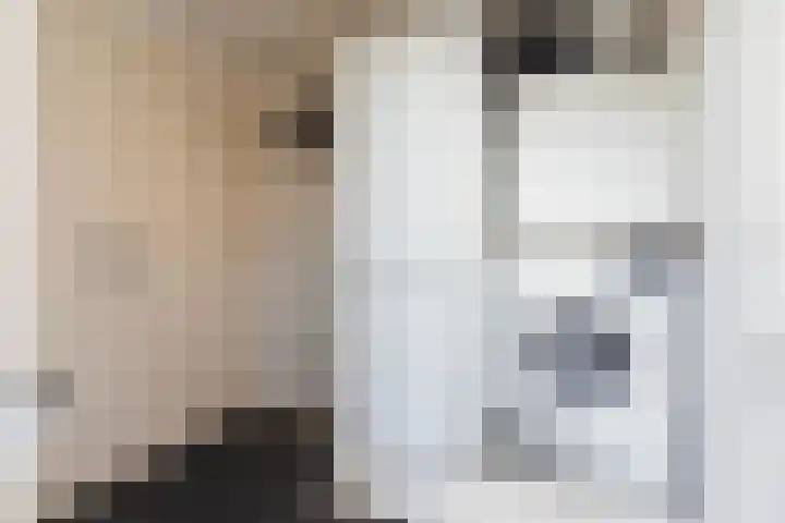 Hellasstrjitte 45 Stiens thumbnail 9