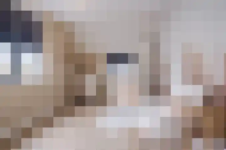 Hellebaard 1 Uden thumbnail 24