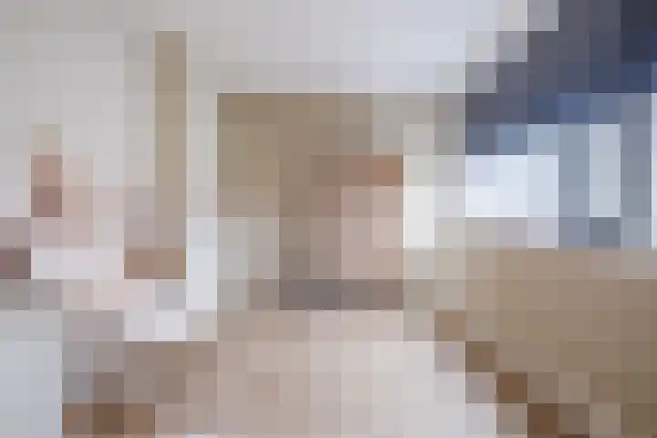 Hellebaard 1 Uden thumbnail 25