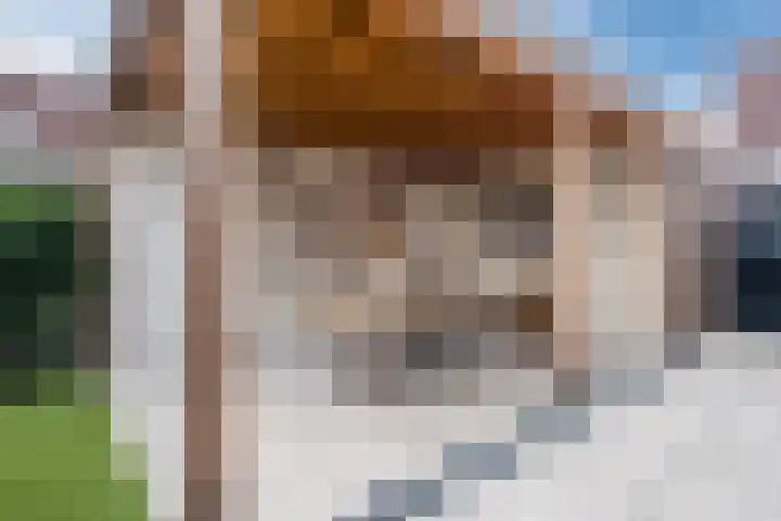 Hellebaard 1 Uden thumbnail 31