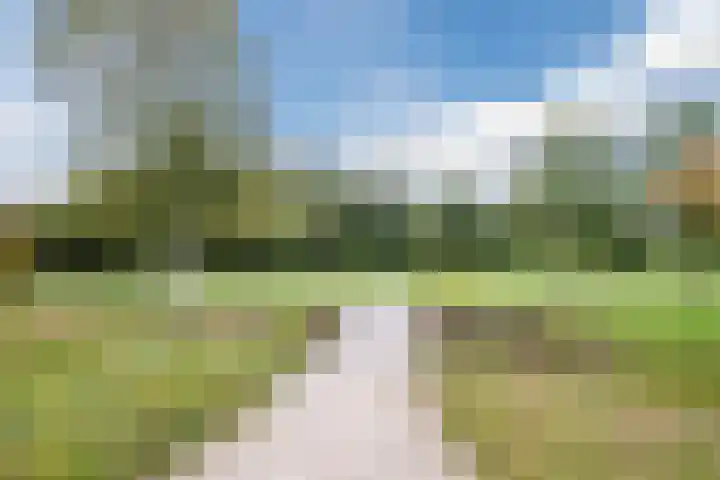 Hellebaard 1 Uden thumbnail 35
