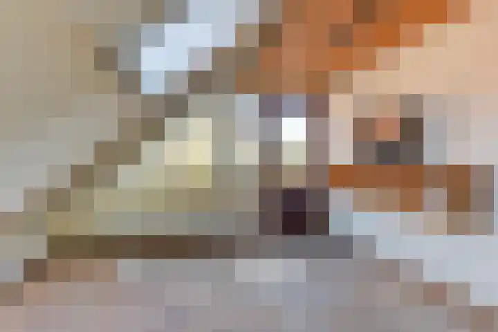 Hellemastraat 18 Obdam thumbnail 43