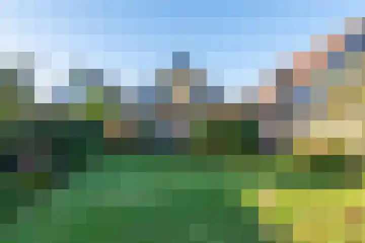 Hellemastraat 18 Obdam thumbnail 51