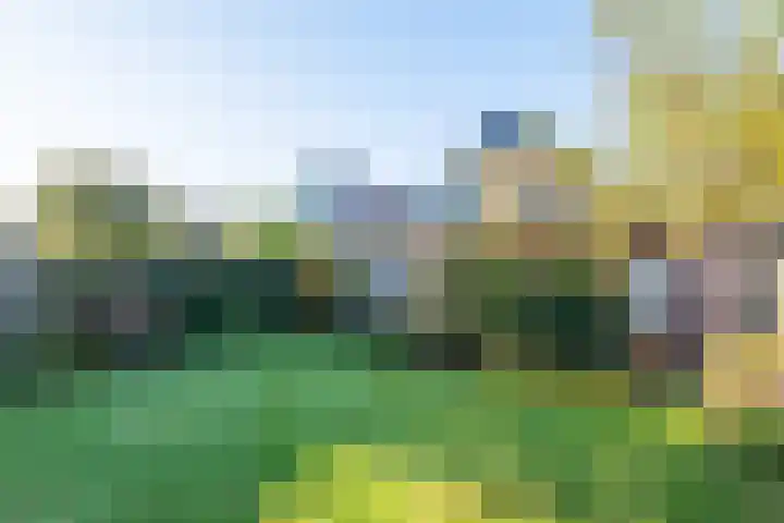 Hellemastraat 18 Obdam thumbnail 53