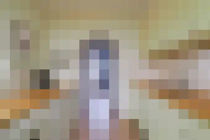 Hellemastraat 7 Obdam thumbnail 20