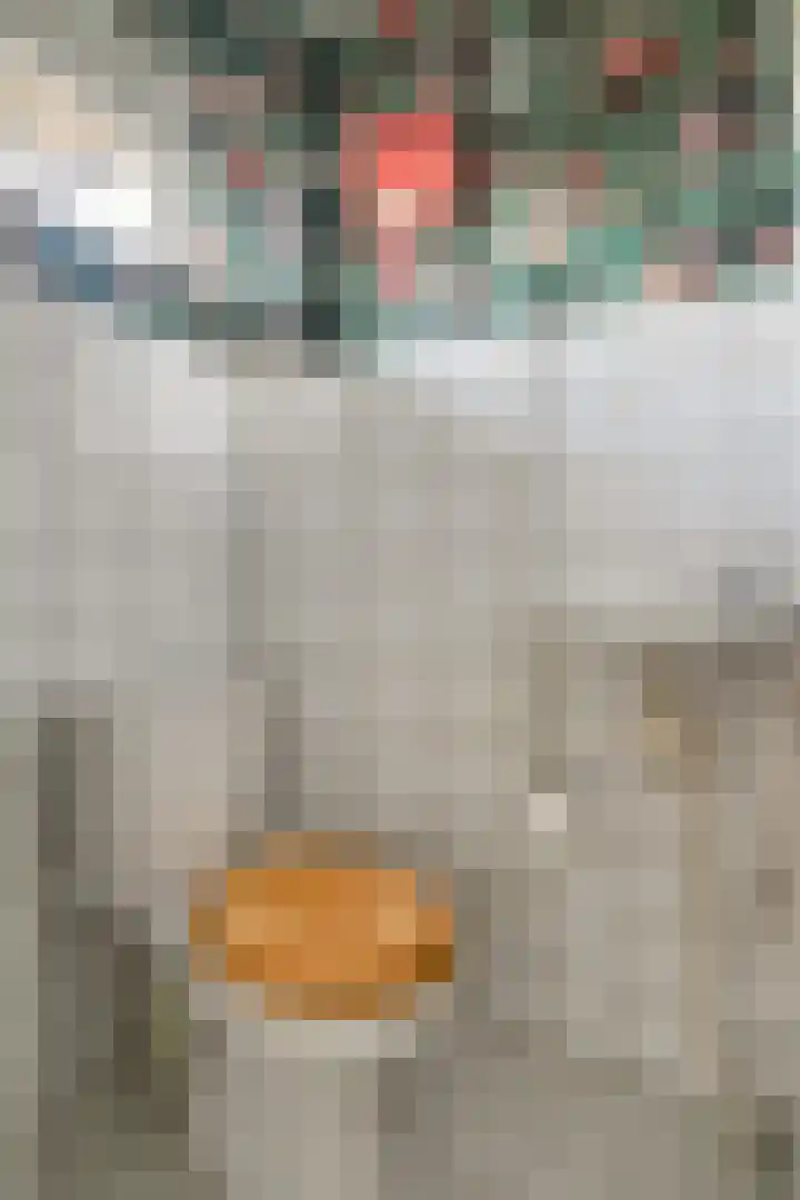 Hellemastraat 7 Obdam thumbnail 9