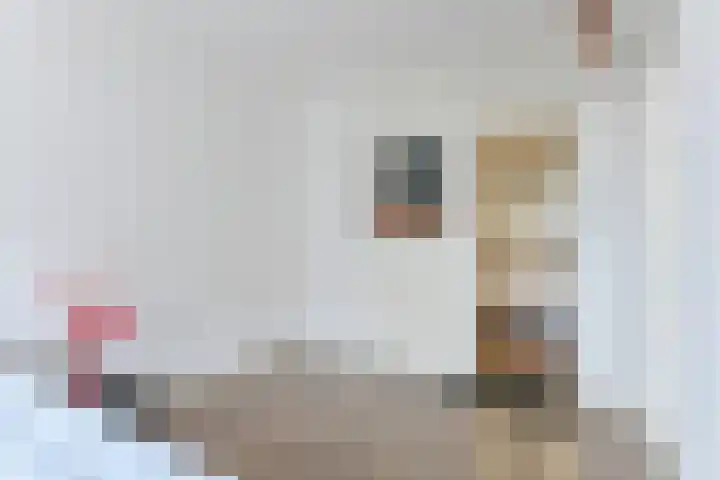 Hellenburg 17 Amsterdam thumbnail 10