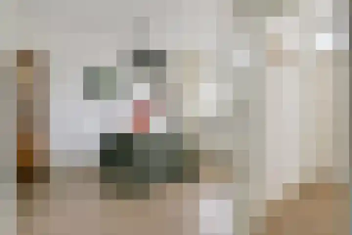 Hellenburg 17 Amsterdam thumbnail 12