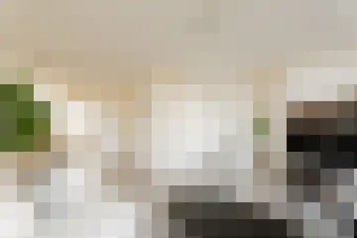 Hellenburg 29 Amsterdam thumbnail 5