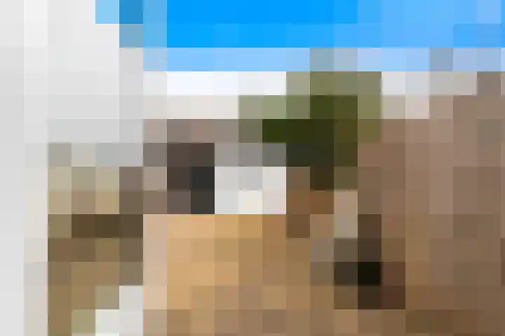 Hellenburg 42 Dordrecht thumbnail 32