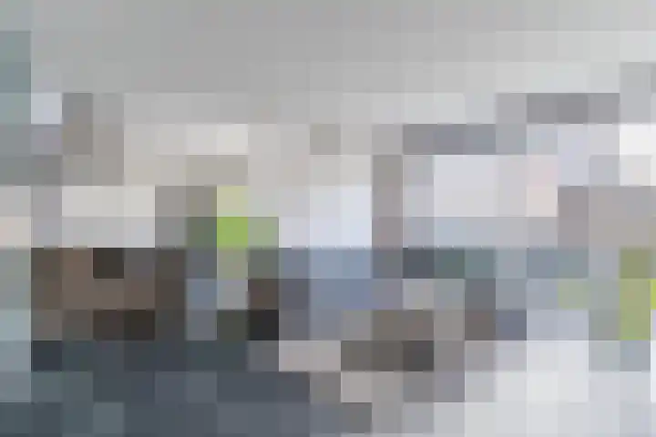 Helleneind 42 Bladel thumbnail 14