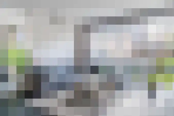 Helleneind 42 Bladel thumbnail 15