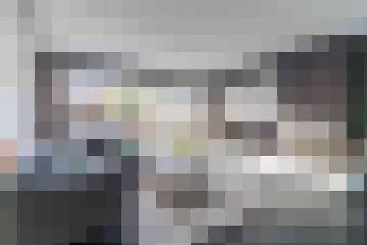 Helleneind 42 Bladel thumbnail 16