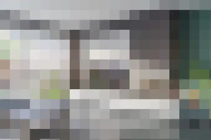 Helleneind 42 Bladel thumbnail 17