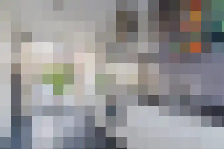 Helleneind 42 Bladel thumbnail 22