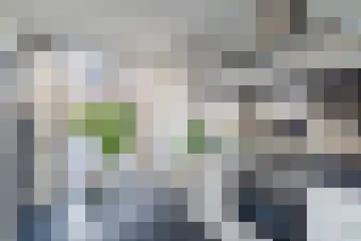 Helleneind 42 Bladel thumbnail 23