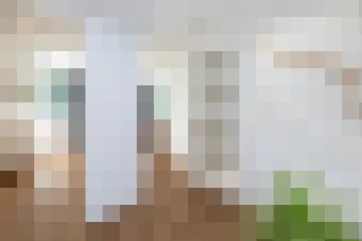 Helleneind 42 Bladel thumbnail 41