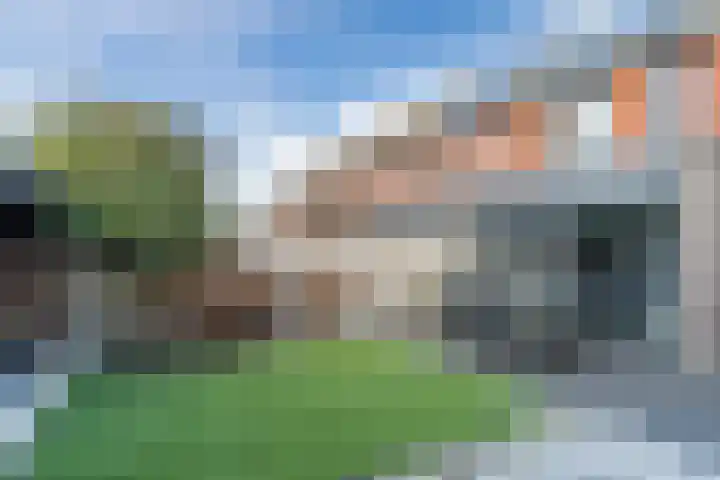 Helleneind 42 Bladel thumbnail 43