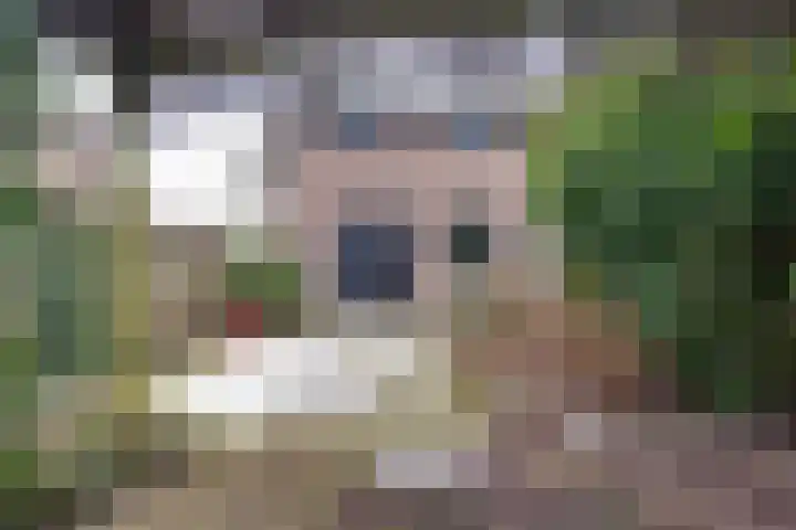 Helleneind 42 Bladel thumbnail 5