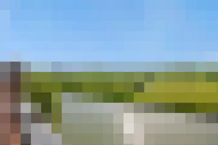 Helleneind 42 Bladel thumbnail 50