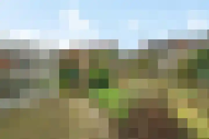 Hellenkamp 5 Warnsveld thumbnail 29