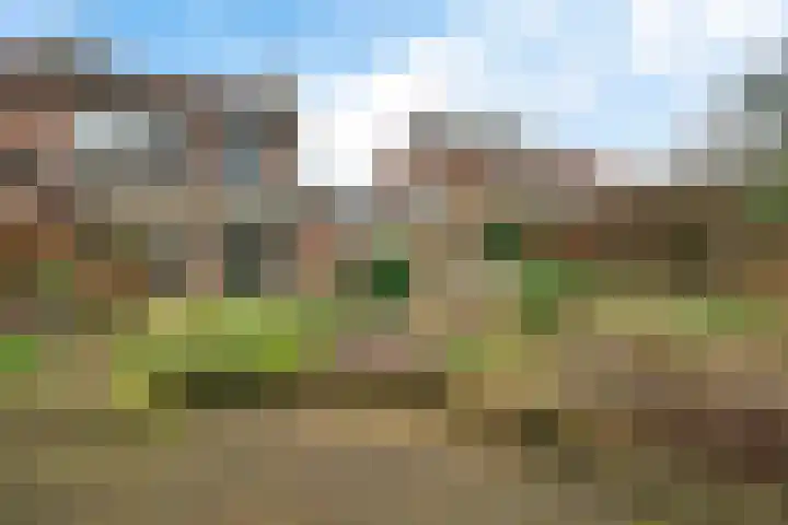 Hellenkamp 5 Warnsveld thumbnail 30